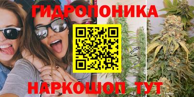 стафф Ставрополь