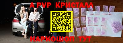 стафф Ставрополь
