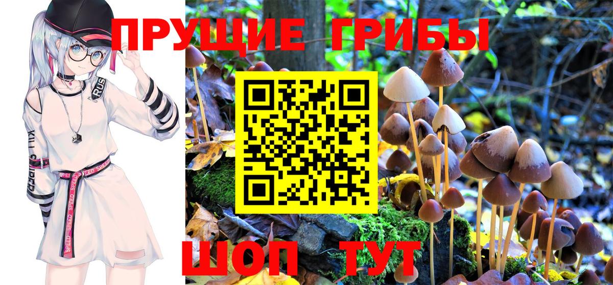 Галлюциногенные грибы MAGIC MUSHROOMS  Вход с VPN  Нововоронеж 